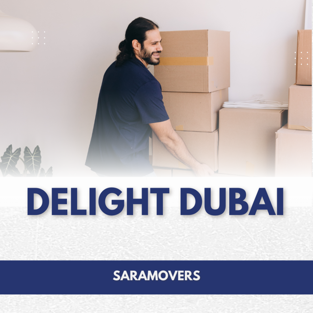 delight dubai