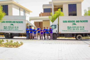 Professional Moving Services